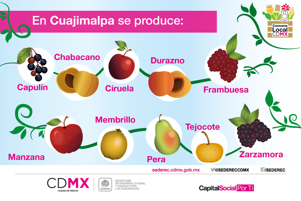 Details 48 tipos de árboles frutales en méxico