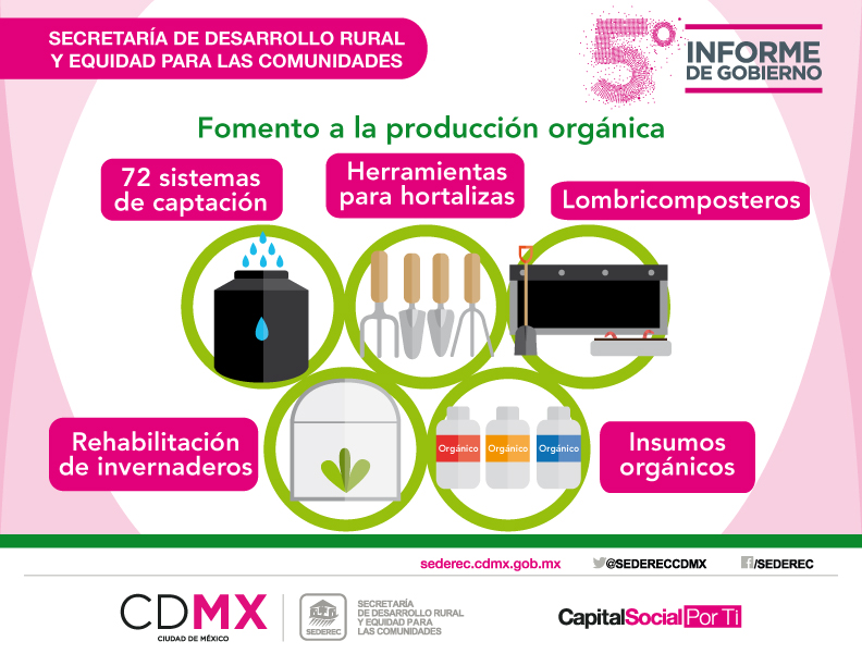 5informe-proyectos4.jpg