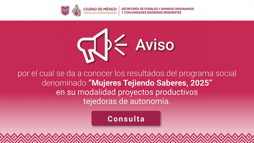 Resultados Mujeres Tejiendo Saberes. Modalidad: Proyectos Productivos Tejedoras de Autonomía 2025